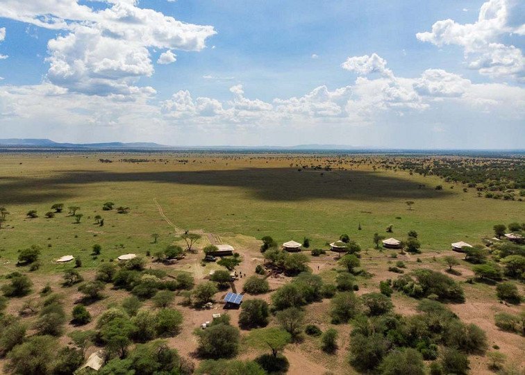 Serengeti Sound Of Silence