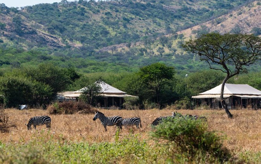 Serengeti Sound Of Silence