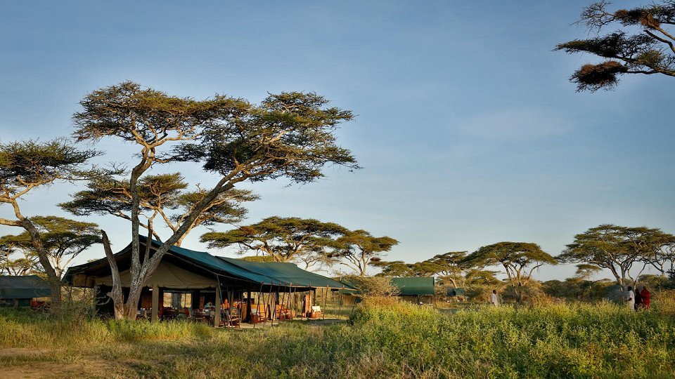 Nyikani Migration Camp Ndutu