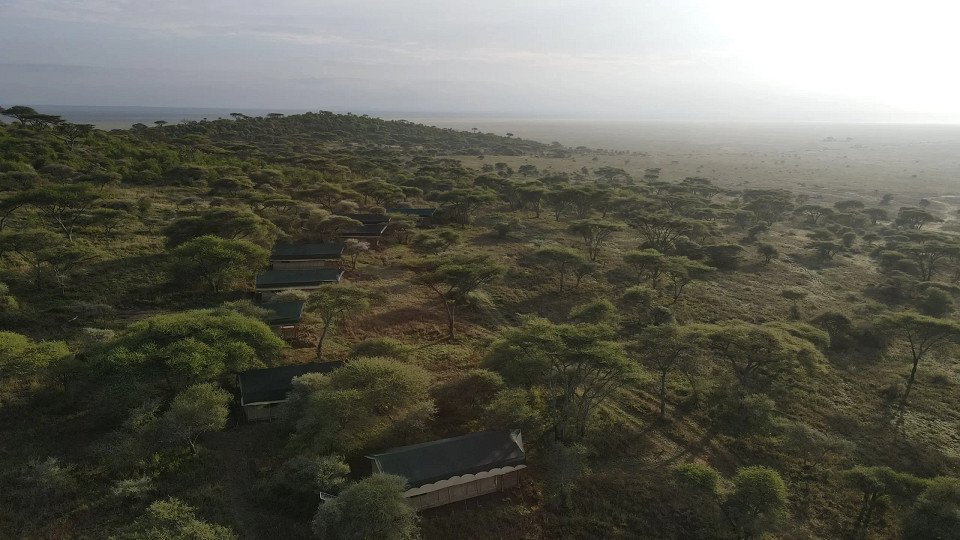 Serengeti Woodlands