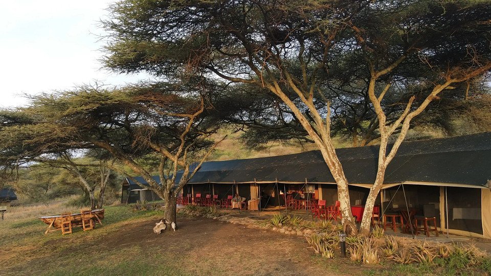 Serengeti Woodlands