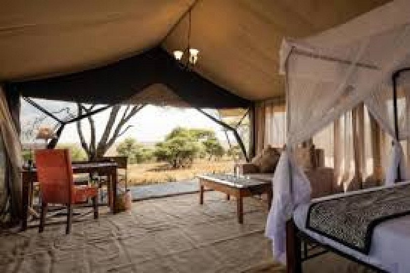 Serengeti Woodlands