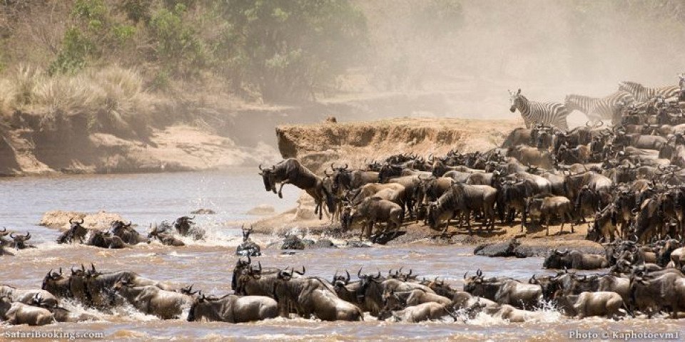 7 Days River Crossing Safari (luxury)