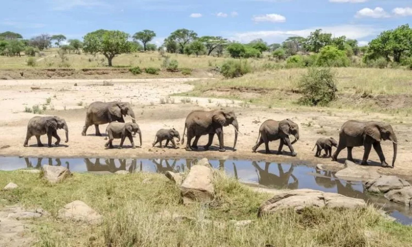 Tarangire National Park