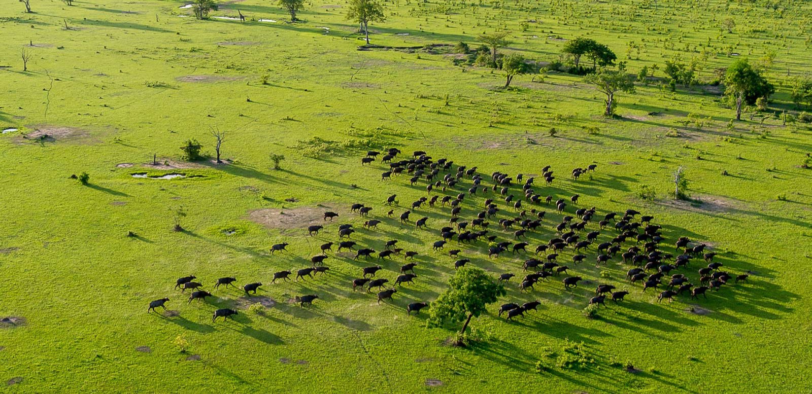 7 Day Tanzania Wilderness Safari