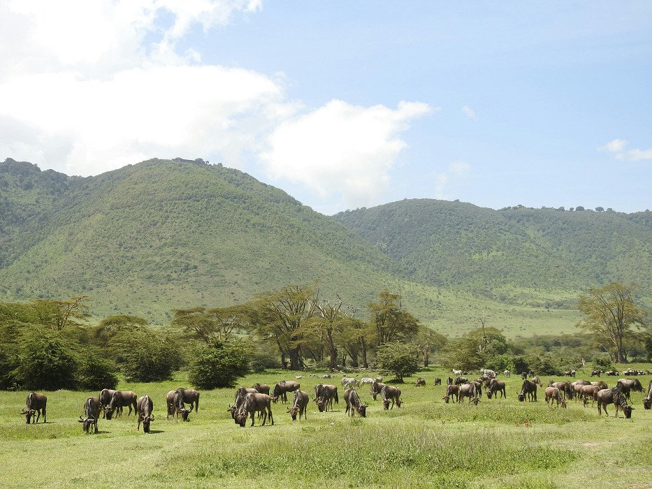 6 Days Tanzania Expedition Safari