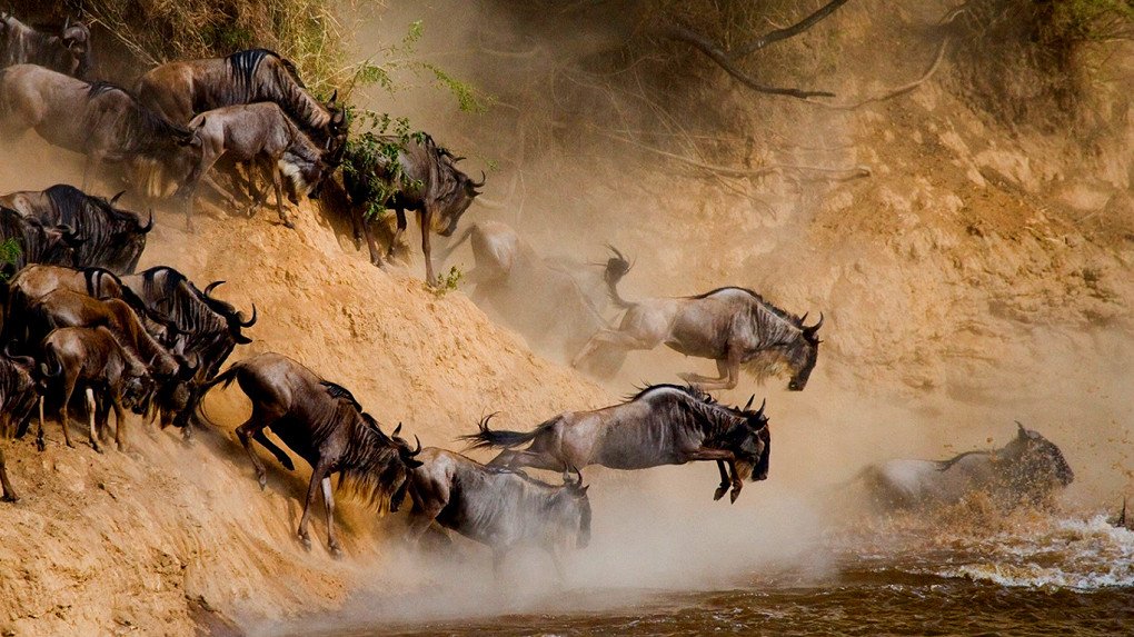 Serengeti National Park